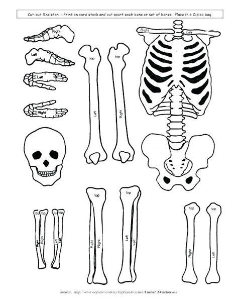 Skeletal System Coloring Page
