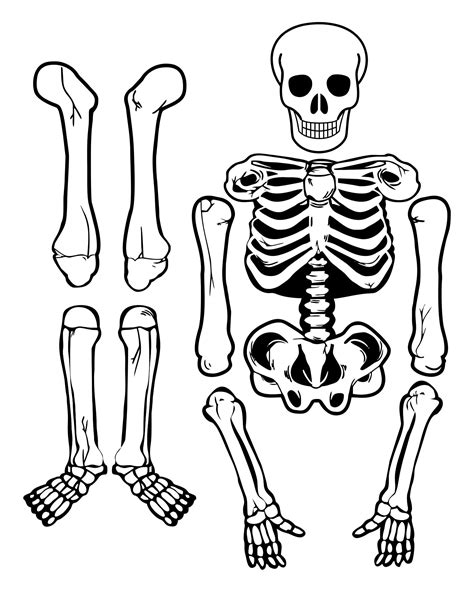 Skeleton Template To Cut Out