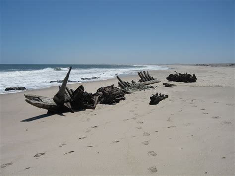 Skeleton Coast Origin