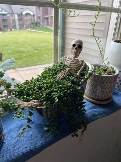 Skeleton Planter