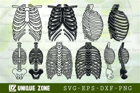 Unleash Your Inner Creativity with the Mesmerizing Skeleton Ribs SVG Graphic Design