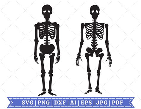 Download Skeleton Silhouette SVG Bundle Cut Files