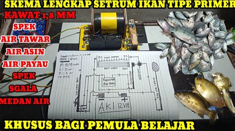 Skema Setrum Ikan