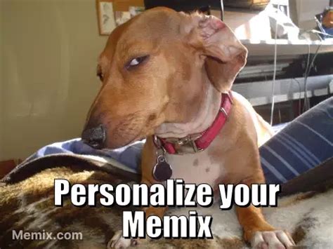 Skeptical Dog Meme
