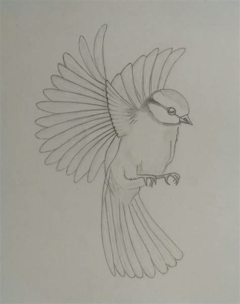 Sketching