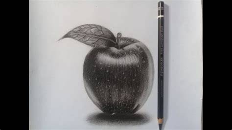 Sketsa Apel Arsir