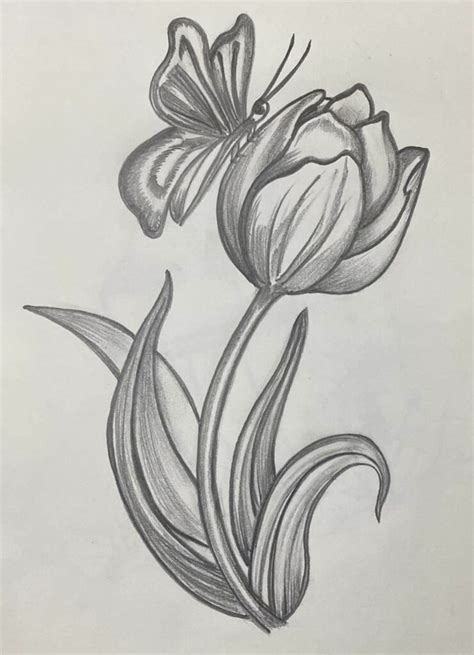 Sketsa Bunga Tulip