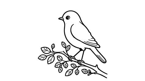 Sketsa Burung