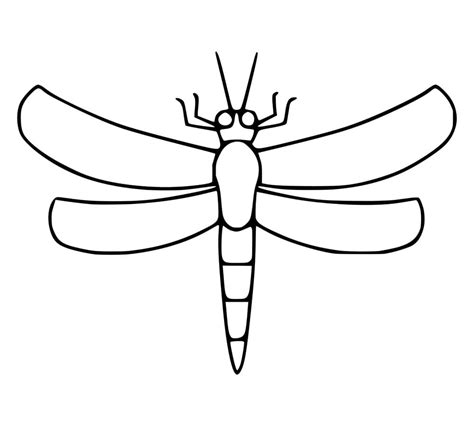 Sketsa Capung