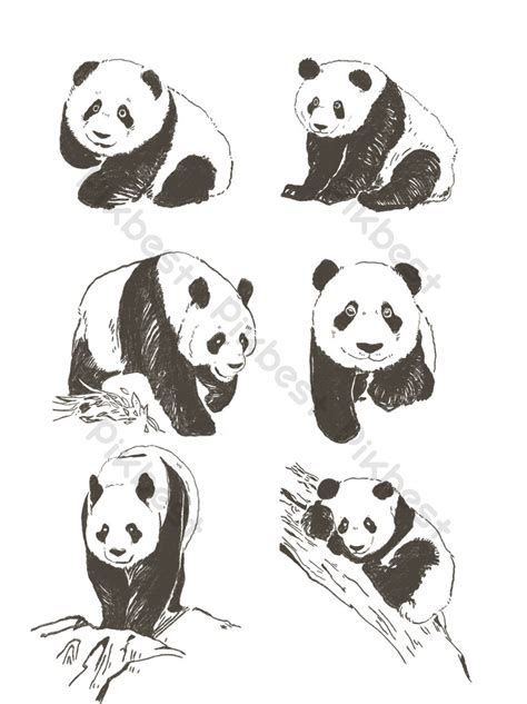 Sketsa Hewan Panda
