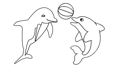 Sketsa Lumba Lumba
