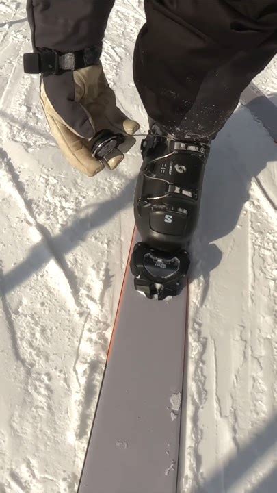 Ski
