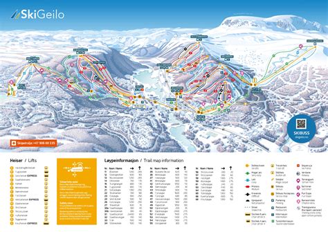 Ski Lessons Geilo