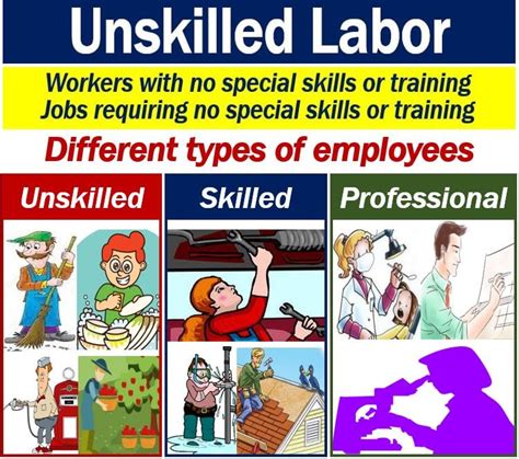 Skilled Labor: Types, Differences & Jobs