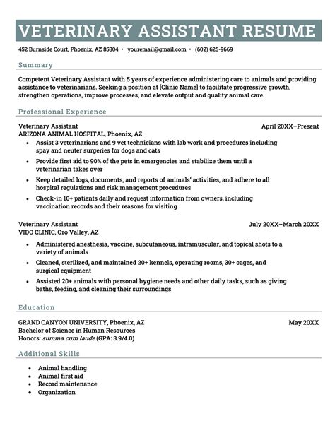 Skills Resume Veterinary Assistant