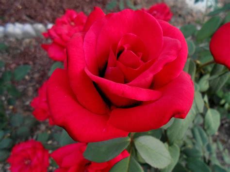 Transforming Skin and Bones into Radiant Beauty: The Ultimate Guide to a Stunning Transformation