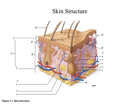 Unleashing the Power of Skin in the Game: Understanding its Significance and Impact on Business Success