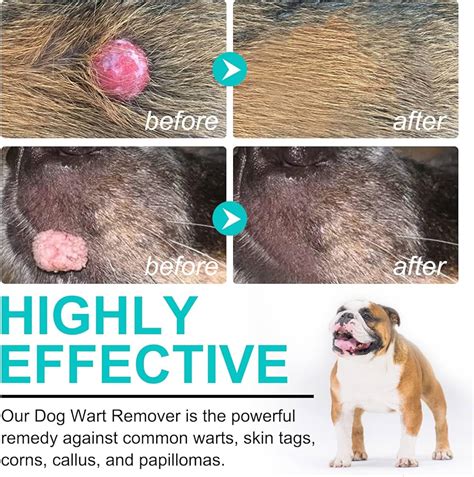 The Ultimate Guide to Affordable Skin Tag Removal for Your Furry Friend