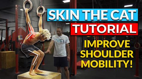 Unleash Your Inner Athlete: Master Skin The Cat Exercise for a Stronger and Healthier You