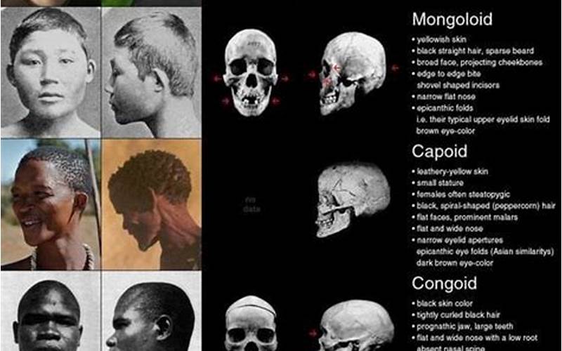 Skulls In Different Cultures