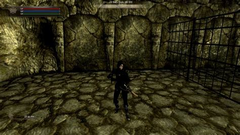 Revamp Your Skyrim Combat With The Best 2-Handed Attack Animation Mod