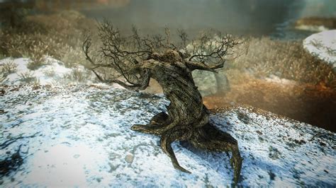 Skyrim Canis Root