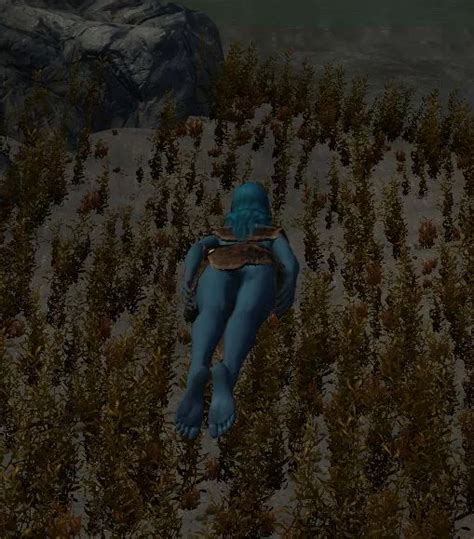 Skyrim Swim Animation Mod
