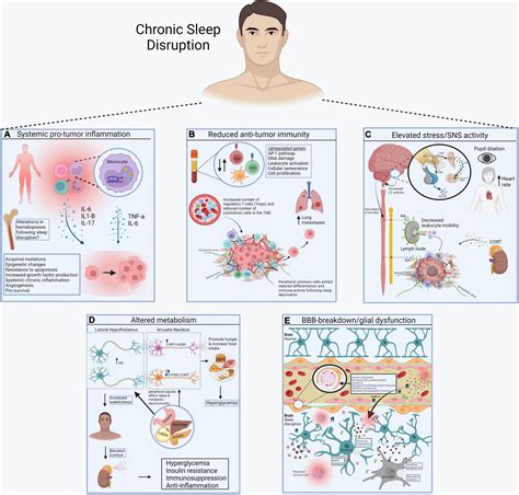 Sleep Disruption and Inflammation
