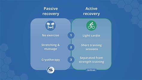 Sleep and Active Recovery