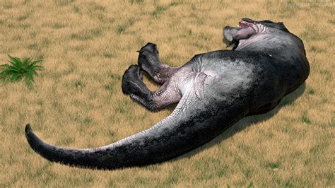 Sleeping T Rex