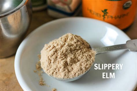 Slippery Elm And Marshmallow Root