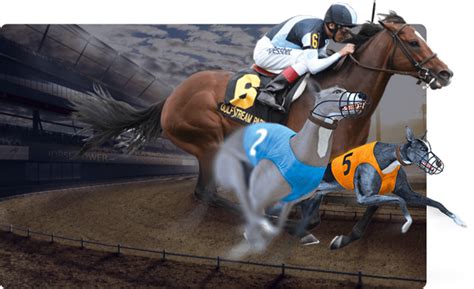 Menangkan Kekayaan Mewah dengan Slot Terbaik Bobobet: Raih Kesempatan Emasmu!