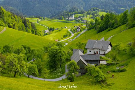 Slovenian Countryside