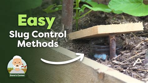 Slug control methods