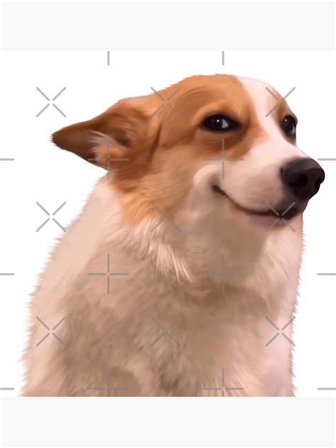 Sly Dog Meme