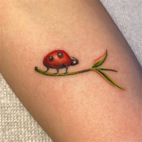45 Cute Ladybug Tattoo Designs and Ideas Buzz Hippy