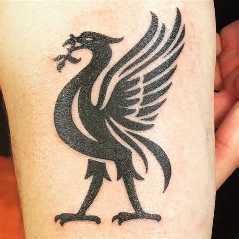 Pin by Pouya Hayerei on Tattoo LFC Liverpool tattoo, Lfc