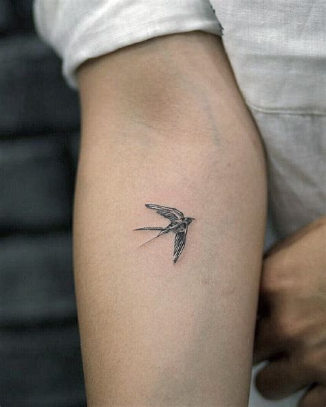 55 How to Find Appropriate Swallow Tattoo Ideas Tiny