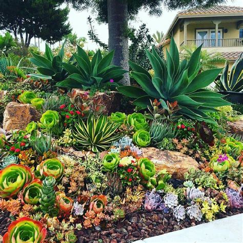 35 Amazing Beautiful Garden Landscaping Ideas with Succulents 14