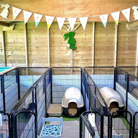 Discover Convenient Small Animal Boarding Near You: The Ultimate Guide