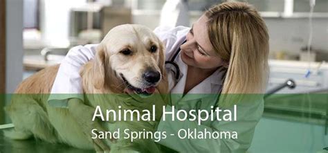 Expert Care for Your Furry Friends: Small Animal Hospital Sand Springs Provides Top-Quality Veterinary Services
