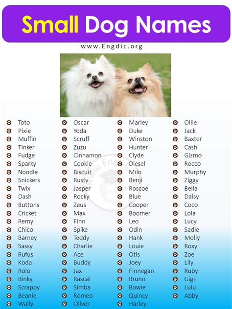 Small Dog Names