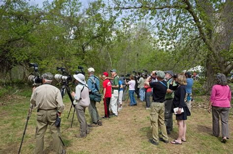 Small Group Bird Watching