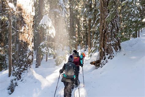 Small Group Snowshoe Tour