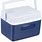 Small Ice Cooler