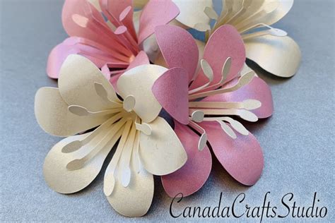 Download Small Paper Flower Lily Template for Cricut Machine