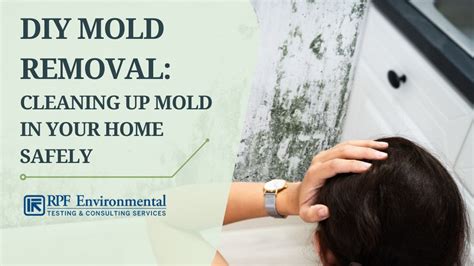 Small Scale Mold Removal: Using Common Household Items