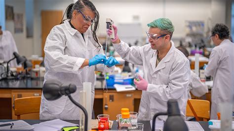 Smc Fall 2024 Open Classes