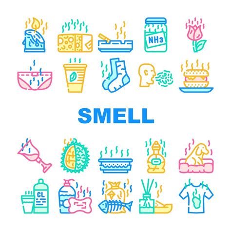 Smell and Feel