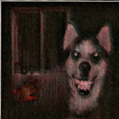 Smile Dog Fandom
